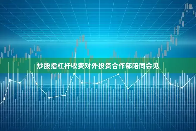 炒股指杠杆收费　　对外投资合作部陪同会见