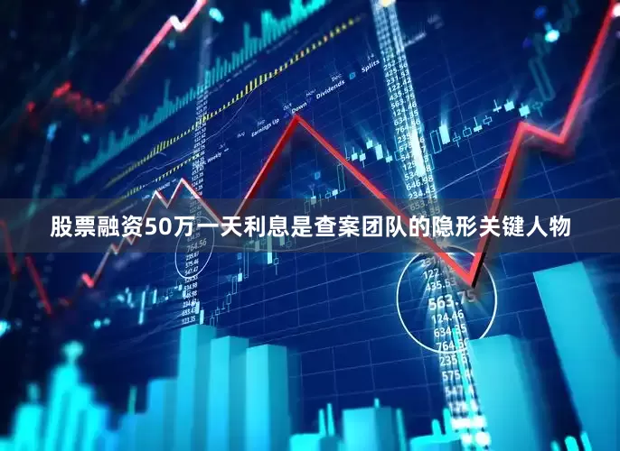 股票融资50万一天利息是查案团队的隐形关键人物
