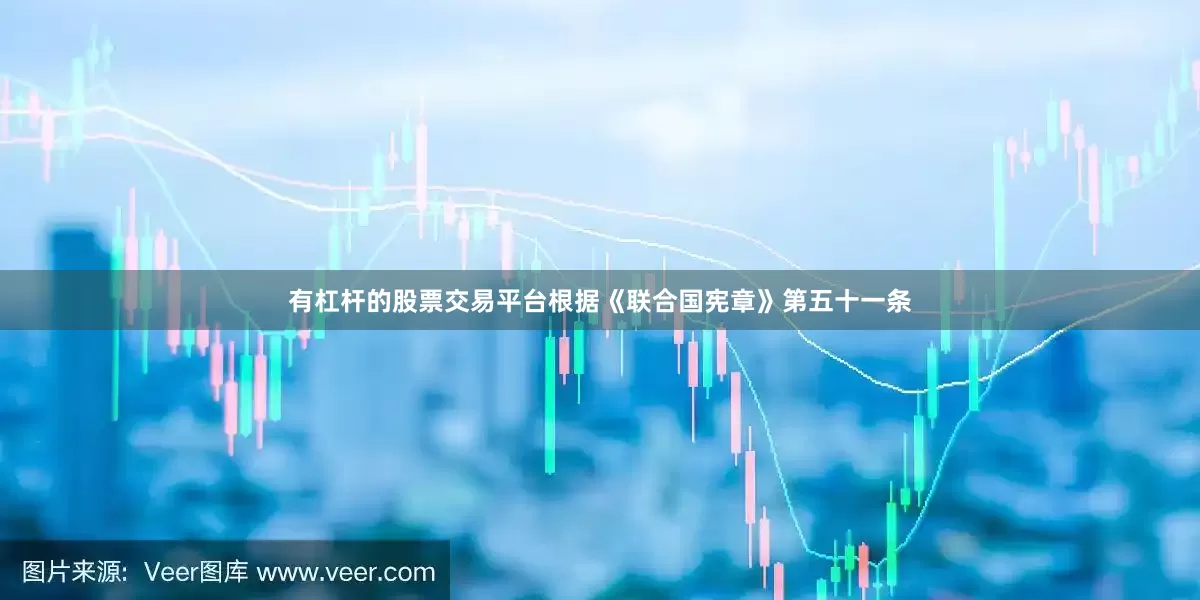 有杠杆的股票交易平台根据《联合国宪章》第五十一条