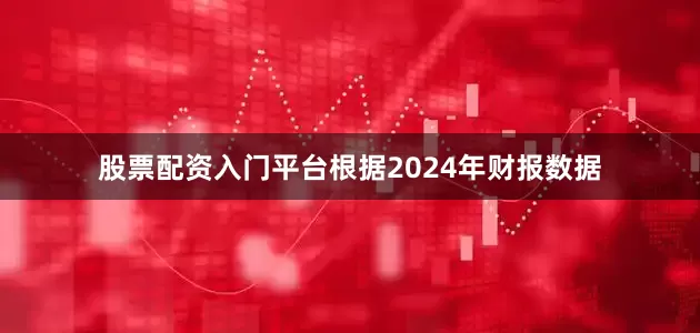 股票配资入门平台根据2024年财报数据